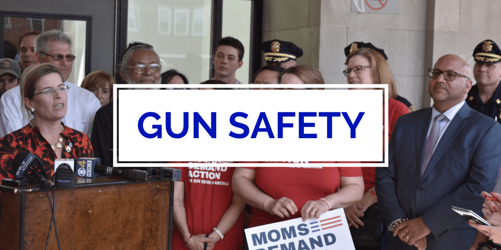 Title: Gun Safety