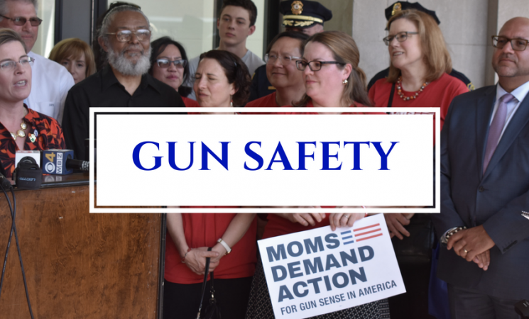 House Passes Legislation to Temporarily Suspend a Gun License from Those Who Pose a Risk to Themselves or Others