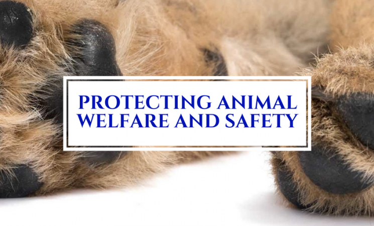 House Approves Animal Welfare Protections